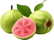 Guava Fruit Powder